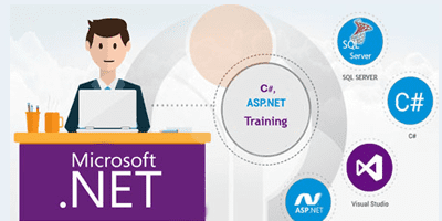 .Net Developer